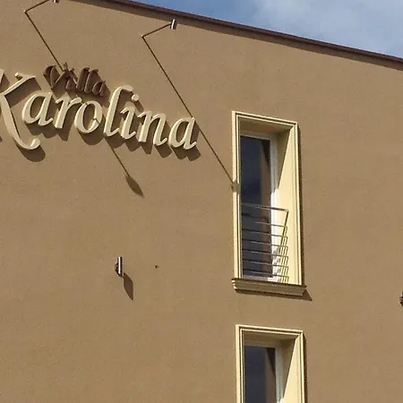 Проживание в семье Karolina *